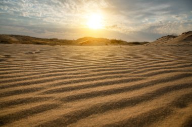 Kumulları olan güzel bir çöl manzarası. Güneşli bir günde kumların üzerinde yürü.