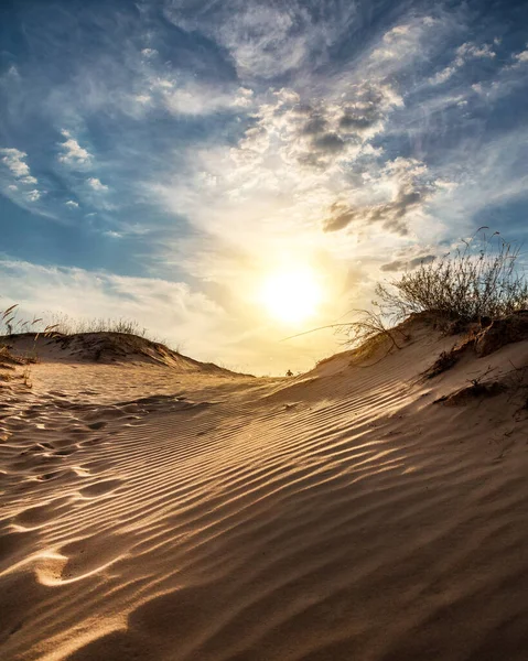 Kumulları olan güzel bir çöl manzarası. Güneşli bir günde kumların üzerinde yürü.