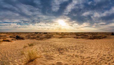 Güneşin doğuşuyla birlikte güzel bir çöl manzarası..