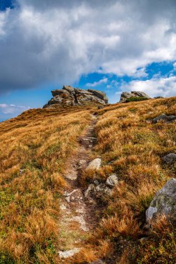 Yüksek Karpatlar 'da güzel bir manzara. Sonbahar dağlarda.