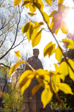 Ukrayna. Khmelnytskyi. 22 Kasım 2020. Şehir parkında Taras Shevchenko anıtı.
