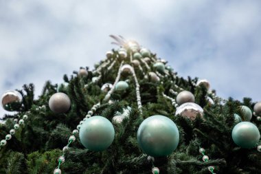 Noel pazarında yılbaşı ağacı. İyi yeni yıl ruhu..