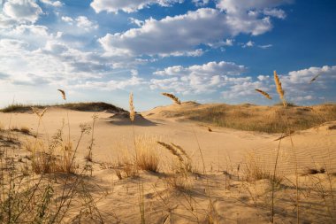 Kumulları olan güzel bir çöl manzarası. Güneşli bir günde kumların üzerinde yürü.