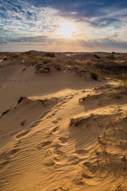 Kumulları olan güzel bir çöl manzarası. Güneşli bir günde kumların üzerinde yürü.