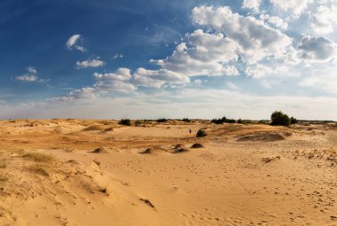 Kumulları olan güzel bir çöl manzarası. Güneşli bir günde kumların üzerinde yürü.