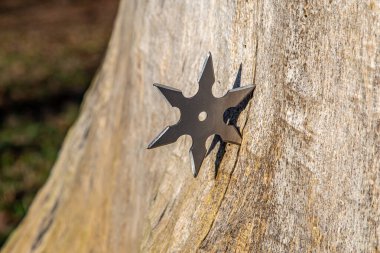Shuriken (fırlatma yıldızı), geleneksel Japon Ninja soğuk silahı ahşap arka planda sıkışmış