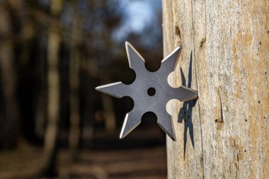 Shuriken (fırlatma yıldızı), geleneksel Japon Ninja soğuk silahı ahşap arka planda sıkışmış