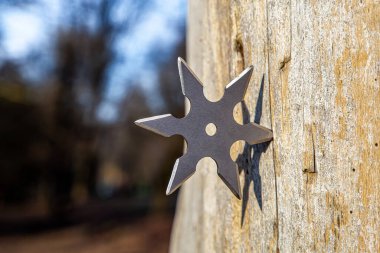 Shuriken (fırlatma yıldızı), geleneksel Japon Ninja soğuk silahı ahşap arka planda sıkışmış