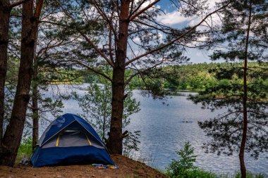 Güneşli bir yaz gününde çam ormanında turist çadırı