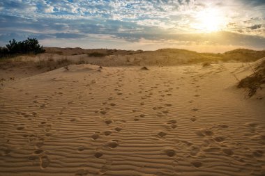 Kumulları olan güzel bir çöl manzarası. Güneşli bir günde kumların üzerinde yürü.