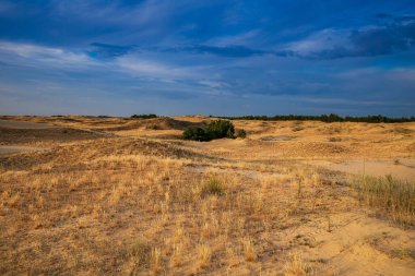Kumulları olan güzel bir çöl manzarası. Güneşli bir günde kumların üzerinde yürü.
