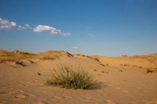 Hermoso Paisaje Del Desierto Con Dunas Caminar Día Soleado Las — Foto de Stock