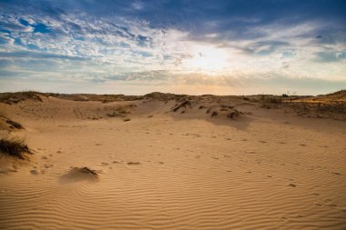 Kumulları olan güzel bir çöl manzarası. Güneşli bir günde kumların üzerinde yürü.