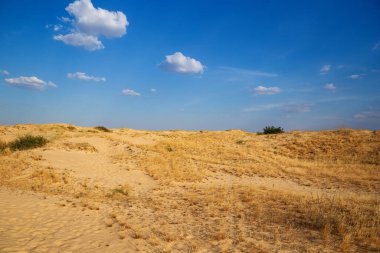 Kumulları olan güzel bir çöl manzarası. Güneşli bir günde kumların üzerinde yürü.