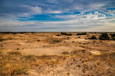 Kumulları olan güzel bir çöl manzarası. Güneşli bir günde kumların üzerinde yürü.