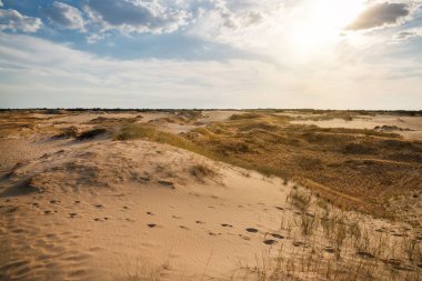 Kumulları olan güzel bir çöl manzarası. Güneşli bir günde kumların üzerinde yürü.