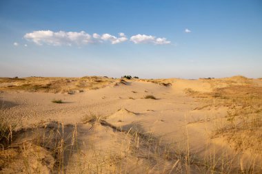 Kumulları olan güzel bir çöl manzarası. Güneşli bir günde kumların üzerinde yürü.