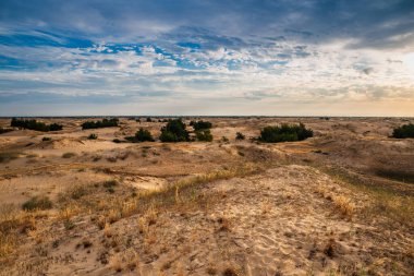 Kumulları olan güzel bir çöl manzarası. Güneşli bir günde kumların üzerinde yürü.