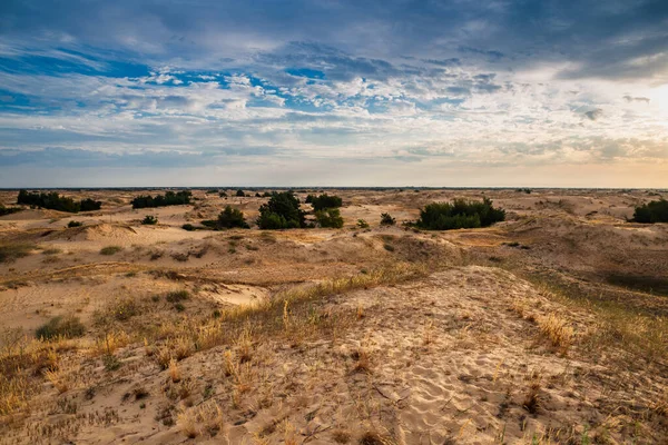 Kumulları olan güzel bir çöl manzarası. Güneşli bir günde kumların üzerinde yürü.