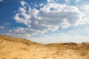 Kumulları olan güzel bir çöl manzarası. Güneşli bir günde kumların üzerinde yürü.