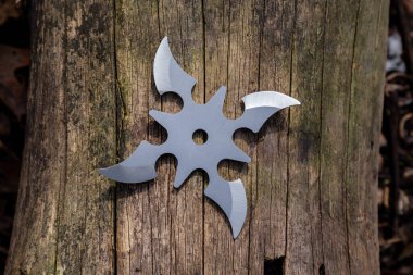 Shuriken (fırlatma yıldızı), geleneksel Japon Ninja soğuk silahı ahşap arka planda sıkışmış.