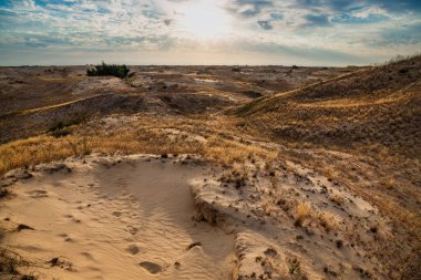 Kumulları olan güzel bir çöl manzarası. Güneşli bir günde kumların üzerinde yürü.