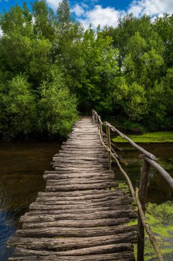 Ormanda nehrin üzerindeki eski ahşap köprü..