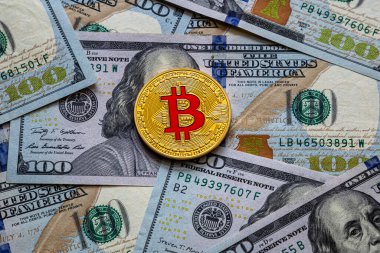 Bitcoin ve dolar. Dünyanın dijital para birimi. 