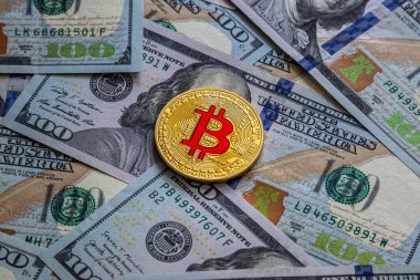 Bitcoin ve dolar. Dünyanın dijital para birimi. 