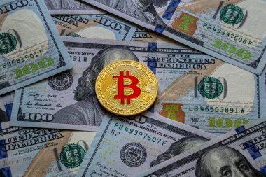 Bitcoin ve dolar. Dünyanın dijital para birimi. 