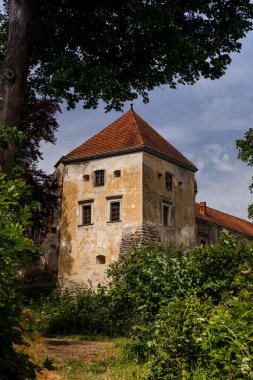 Lviv bölgesindeki güzel Svirzh kalesi, Ukrayna. 