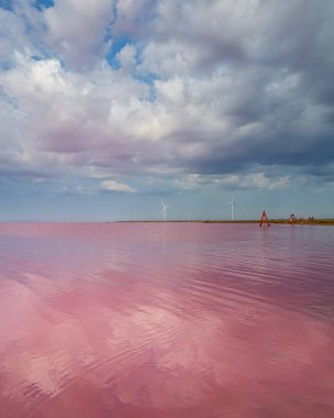 Pembe tuz gölü Sivash. Ukrayna 'da tedavi ve yürüyüş için bir yer. 