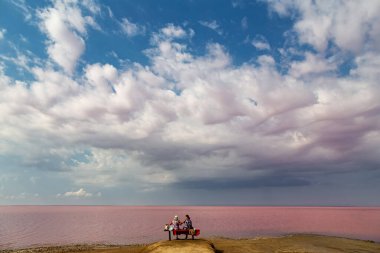 Pembe tuz gölü Sivash. Ukrayna 'da tedavi ve yürüyüş için bir yer. 