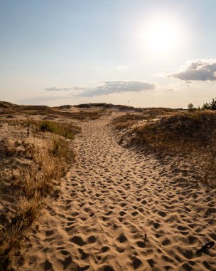 Kumulları olan güzel bir çöl manzarası. Güneşli bir günde Oleshkiv kumlarında yürü. 