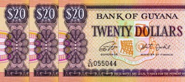 20 dolarlık Guyana, tasarım için bir banknotun parçası. Guyana 'nın parası.