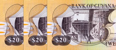 İçinde gemi inşaatı ve feribot gemisi Malali resmi olan 20 dolarlık Guyana. Guyana 'nın parası.