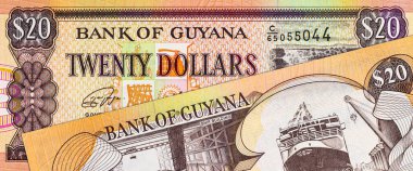 20 Dollars Guyana with the image of the Waterfall. Money of Guyana.