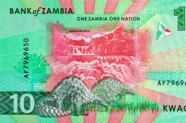 Kabwell Şelalesi 'nin görüntüsüne sahip 10 Kwacha Zambiya. Zambiya ve Afrika 'nın parası.