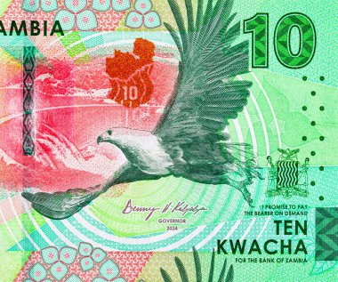 10 Kwacha Zambiya 'da baraj ve kartal resmi var. Zambiya ve Afrika 'nın parası.
