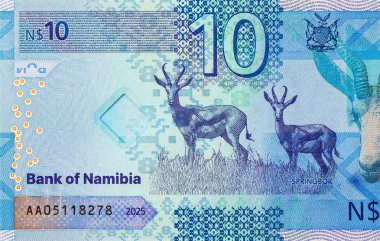 Namibya 10 dolar 2025 sentlik Springbok antilobu resmi. Yeni Namibya parası.