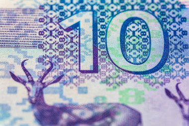 Namibya 10 dolar 2025 sentlik Springbok antilobu resmi. Yeni Namibya parası.