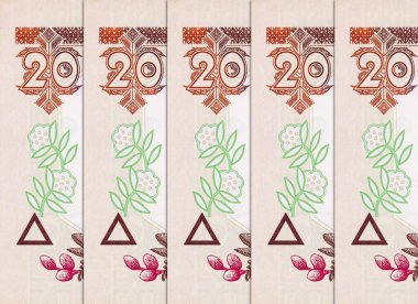 Ukrayna 'dan Ivan Franko' nun portresiyle birlikte 20 Hryvnia banknotu. Ukrayna 'nın kağıt parası.