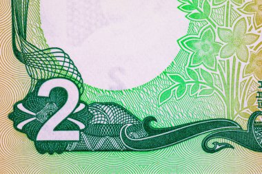 2 Taka Bangladeş, 2016 Tasarım için bir parça ile. Bangladeş 'in Parası.