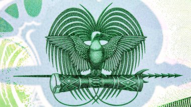 2 Kina Papua Yeni Gine ve Cennet Kuşu resmi. Polimer para Papua Yeni Gine.