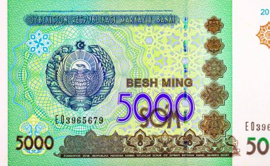 Özbekistan ambleminin resmedildiği 5000 Sum Özbekistan. Özbekistan 'ın kağıt parası