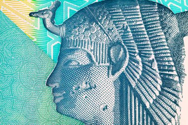 Kraliçe Kleopatra 'nın portresiyle Mısır' da 20 Pound. Mısır 'ın ulusal para birimi. Polimer para