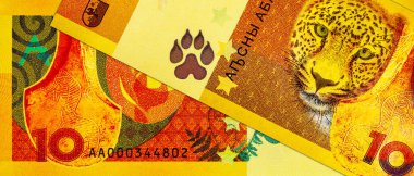 10 Apsar Abhazya, bronz balta ve geleneksel sopa imgesiyle. Tanınmayan Abhazya Cumhuriyeti. Abhazya 'nın Parası.