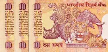 İçinde fil, gergedan ve kaplan resmi olan 10 Rupi Hindistan. Hindistan 'ın kağıt parası..