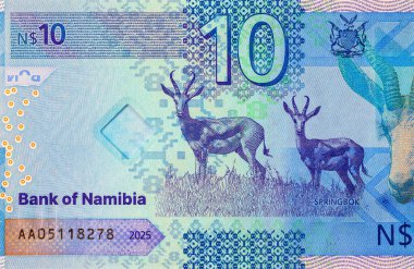 Namibya 10 dolar 2025 sentlik Springbok antilobu resmi. Yeni Namibya parası.