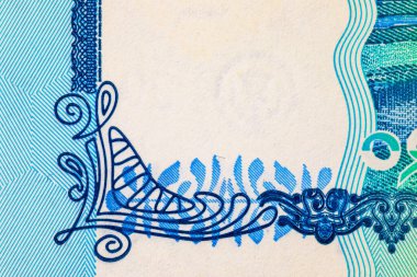 20 Taka, Bangladeş, 2025, tasarım için banknotun bir parçasının görüntüsü. Bangladeş 'in yeni kağıt parası.